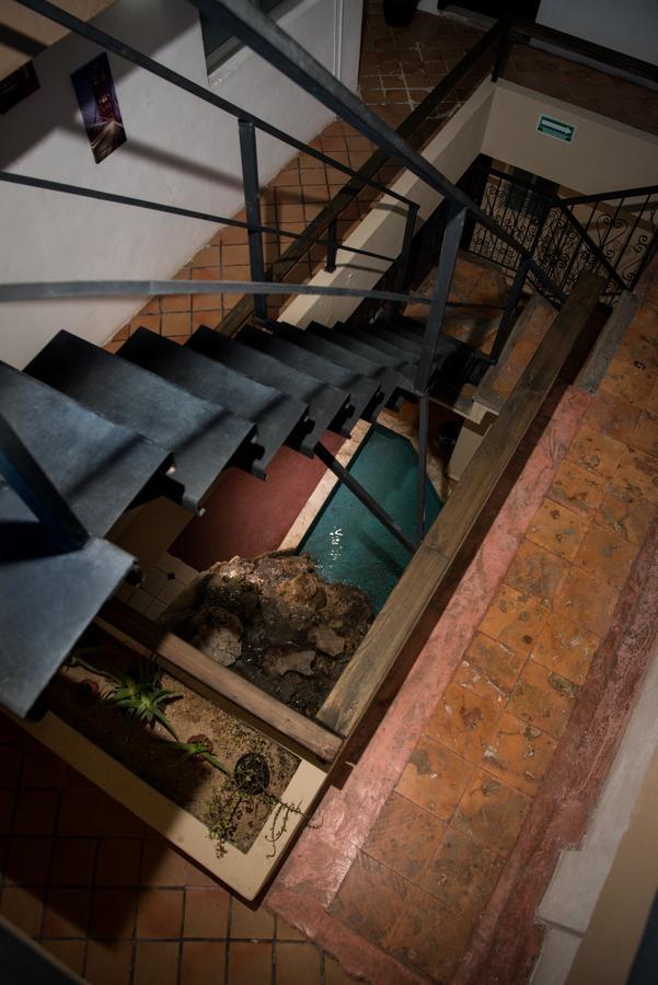 Deja Hostel Playa del Carmen Bagian luar foto